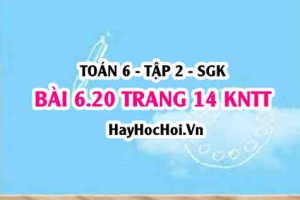 Bài 6.20 trang 14 Toán 6 Tập 2 Kết nối tri thức